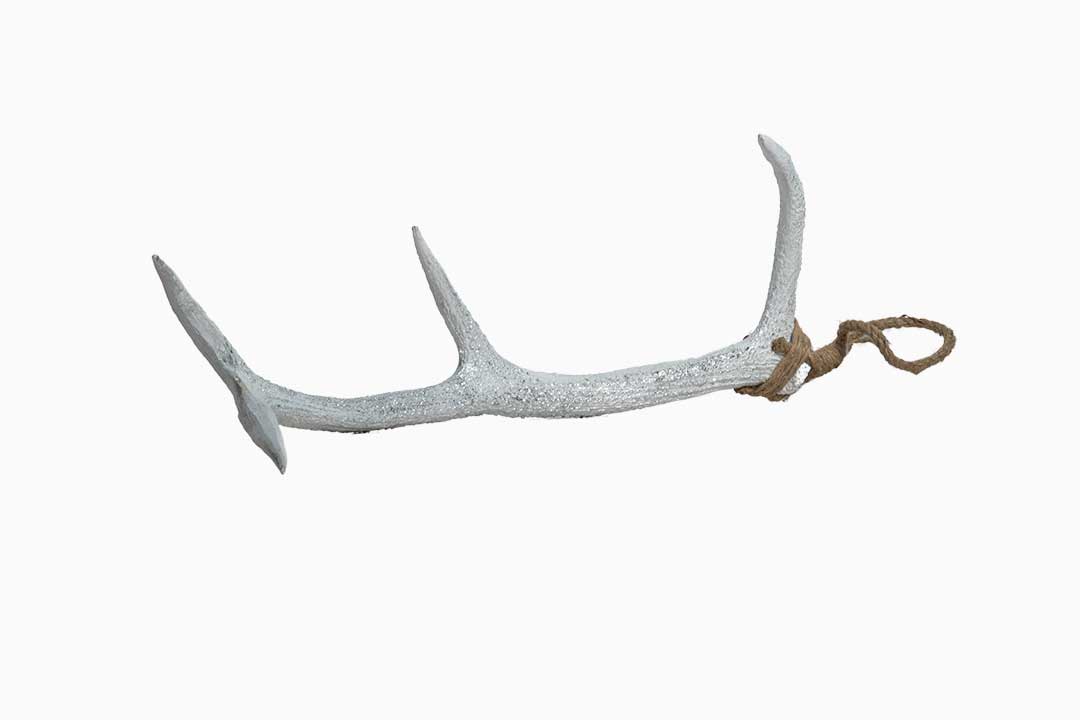 White and Silver Antler