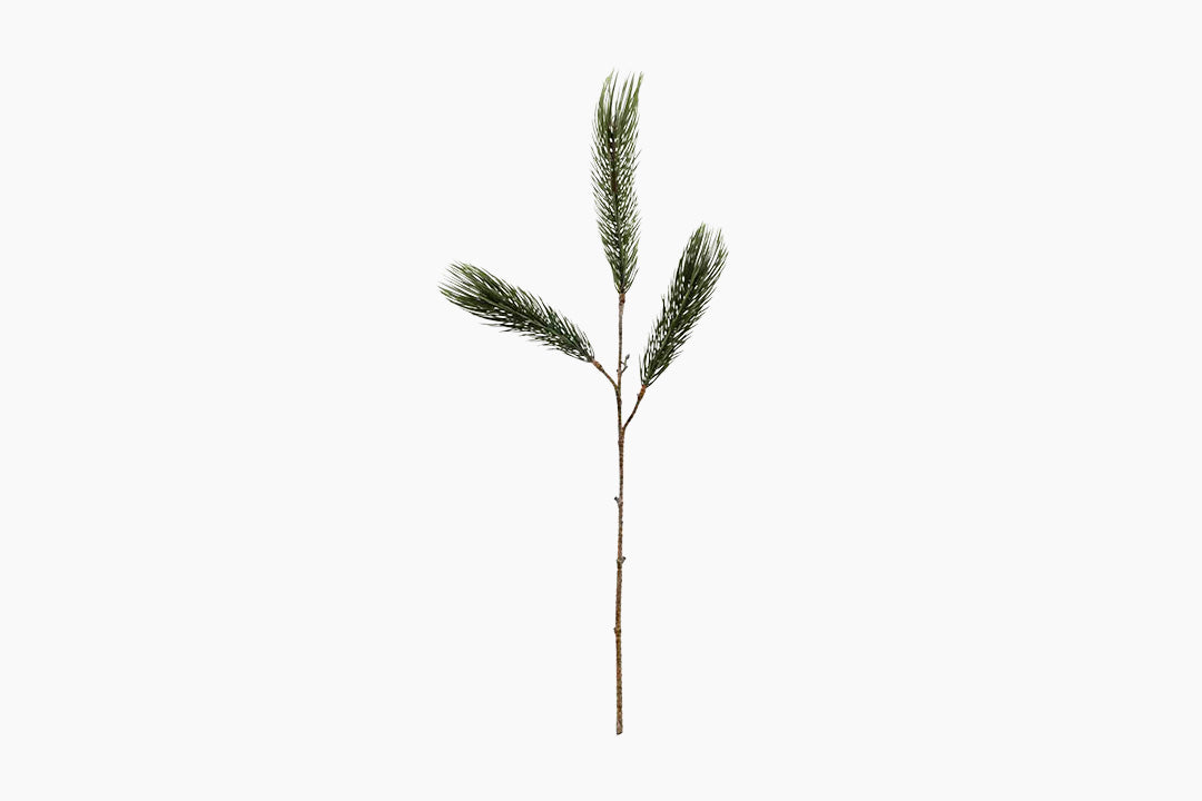 Natural Pine Branch by House Doctor