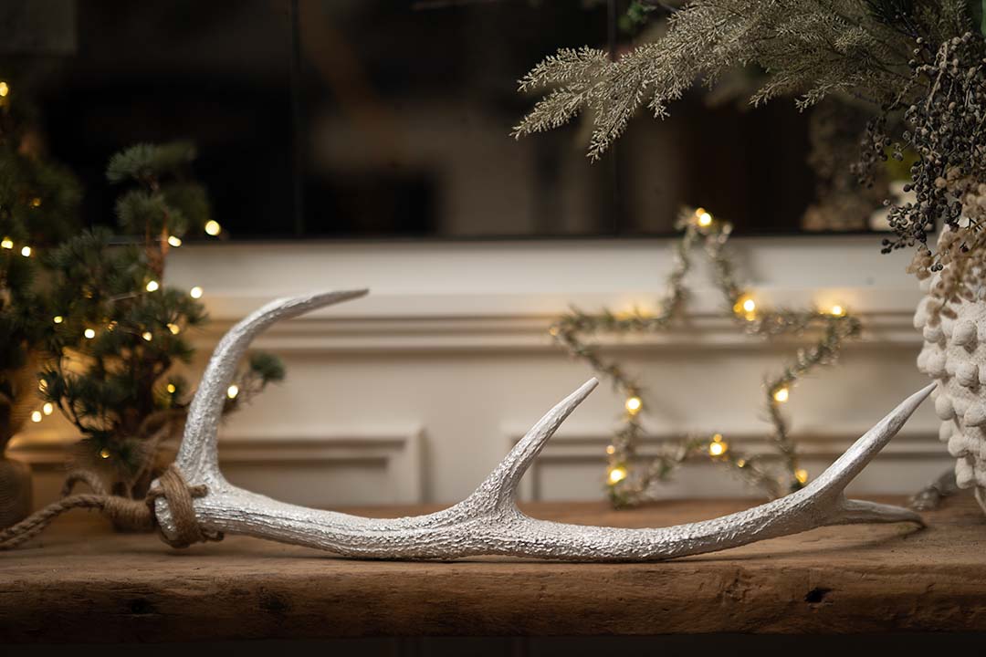 White and Silver Decorative Antler
