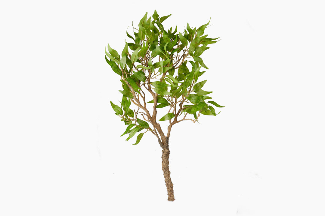 Green Ruscus Branch Artifical Plant