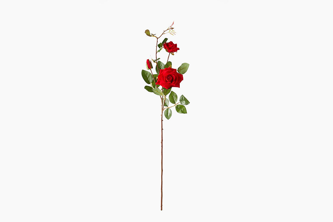 Red Rose Stem by India Jane