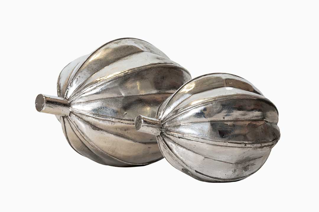 decorative silver seed pods