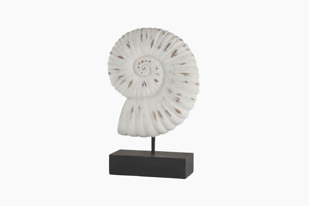 Shell Sculpture on a stand