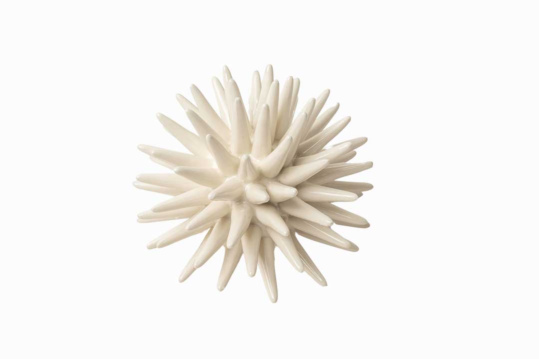 Ceramic Sea Urchin