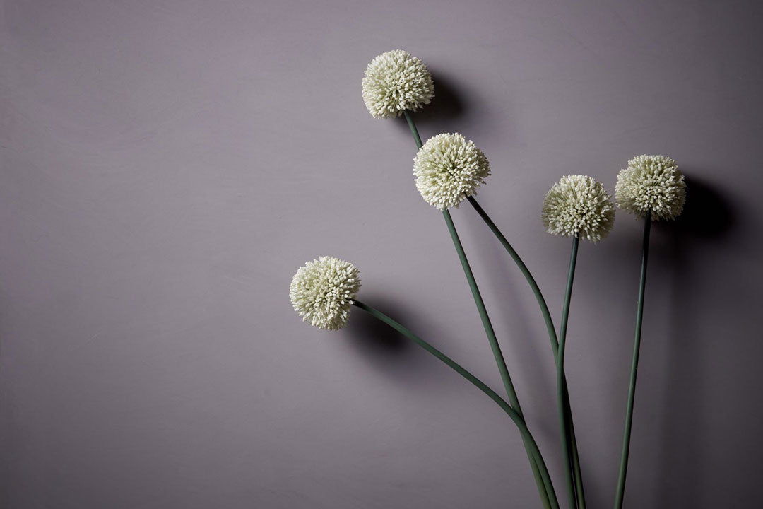 Artificial White Alliums